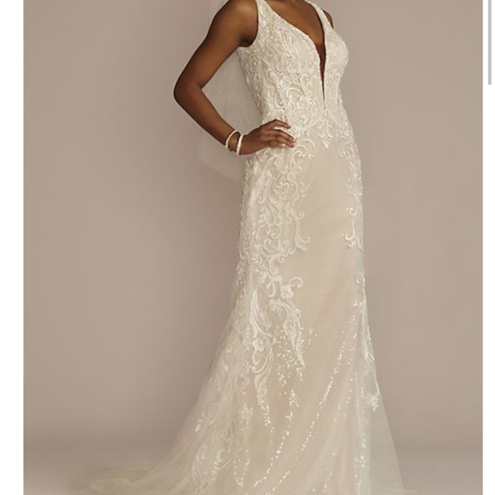 David’s Bridal Ivory Laced wedding dress